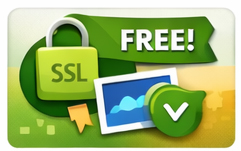 Free Domain Name Guidance